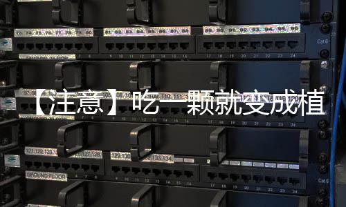 河南27条高速禁止7座（含7座）以上客车通行 每年春夏季毒性更大