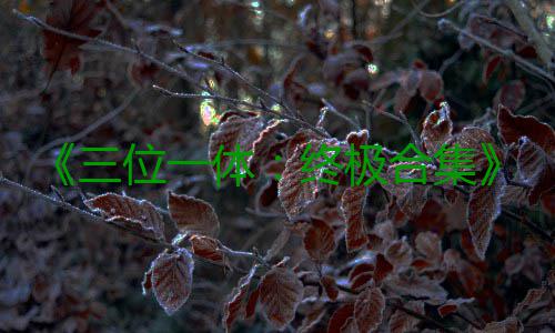 《三位一体：终极合集》宣传片公布 四部作品合体 其特点是位体采用3D图像