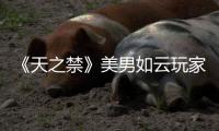《天之禁》美男如云玩家代言人甄选火热进行中