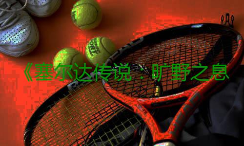 《塞尔达传说：旷野之息》下雨天攀爬技巧 下雨天也能爬不少高度