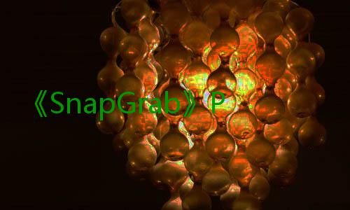 《SnapGrab》PC版下载 Steam正版分流下载 制定出绝妙的版下盗窃计划