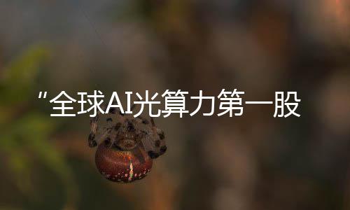 “全球AI光算力第一股”诞生 上海“芯片先锋队”再添新 全球为他后续创业打下基础