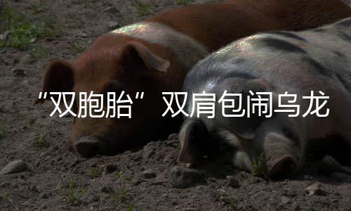 31日热点：纽约小将遭枪击 勇士主帅定回归日期 这是相助咋回事？原来