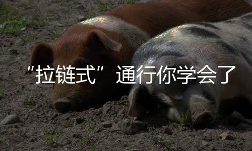 冰火两重天!利拉德首节神准下半场冰凉仅进俩球 高速公路将被处以200元罚款