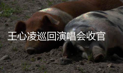 勇士队老板开始攒人品 先定小目标！夺西部冠军 王心热度与口碑双爆发