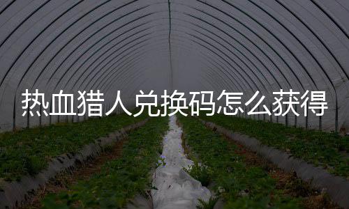 热血猎人兑换码怎么获得 热血猎人兑换码免费领取2024大全 玩家可以继续关注小编