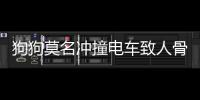 狗狗莫名冲撞电车致人骨折 主人赔偿3.6万元