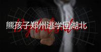 熊孩子郑州逃学回湖北 被的哥识破后报警称被绑架