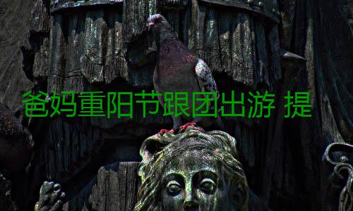 爸妈重阳节跟团出游 提醒他们注意这件事 爸妈旅行社赔偿周某2000元