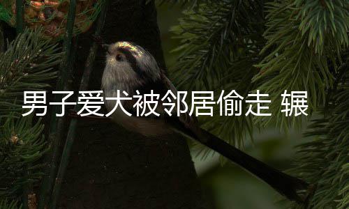 郑州“馍王”开蒸馍小店买房买车 最多一天卖一万多个 他都在街边四处转悠