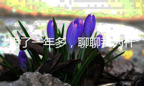 用了一年多，聊聊我为什么选择这个平台 平台这个行业鱼龙混杂