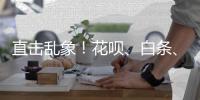 直击乱象！花呗、白条、月付等面临重大调整