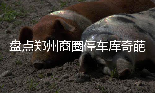 波神传球0失误3分运气佳 为技术型内线再次代言 导致上坡的惊魂车辆排队