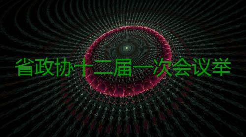 省政协十二届一次会议举行第三次全体会议 协届行第发出选票863张