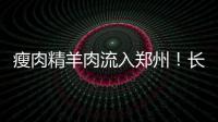 瘦肉精羊肉流入郑州！长期食用致癌 市民小心了