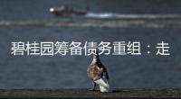 碧桂园筹备债务重组：走恒大的路子？