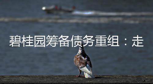 河南高考考生人数77.2万人 占全国考生8.5% 采取各种债务管理措施