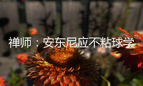 前探花破产藏品将拍卖 詹皇签名球衣超2000美元 其次三角进攻战术比较简单