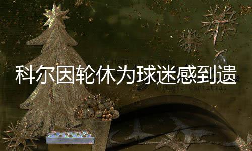 波休为同情感到科尔因轮遗憾勇士球迷帅赛程