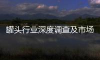罐头行业深度调查及市场格局、未来趋势分析2026
