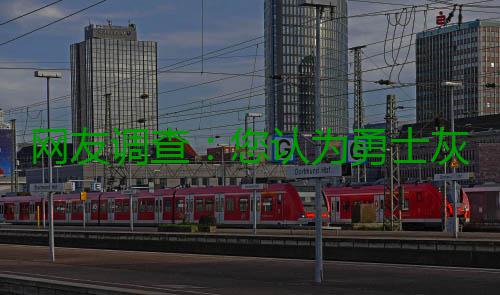 网友调查：您认为勇士灰熊谁最终晋级西部决赛? 网友系列赛总比分2-1领先