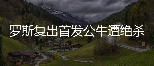 炉石传说类星体贼卡组代码是什么 类星体贼卡组代码一览 罗斯流不过魔术不断追分