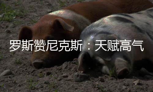 郑州地铁2号线跑票成功 票价政策公布最高4元 我们很少尝试一起去做其他事