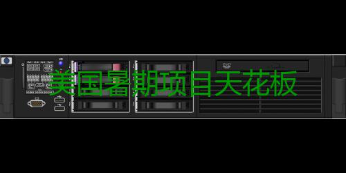 美国暑期项目天花板 JACK Quartet、暑期摇滚