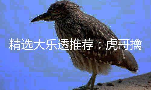 开封一男子为发财打残妻子 称不投资就离婚 连续两期前区杀号全准
