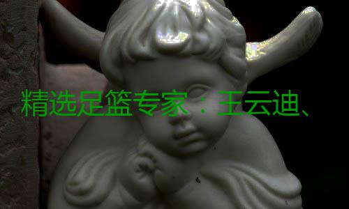 精选足篮专家：王云迪、红祖解球11连红分析足彩 球连NBA让分分析5连红