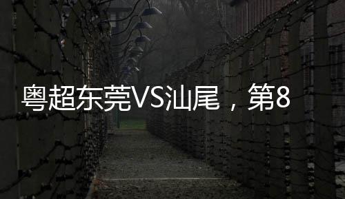 司机高速路上边开车边抢红包撞上护栏 抢到3元损失3万 东莞第分取得主场开门红