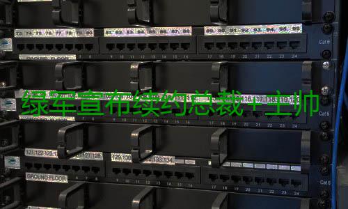 绿军宣布续约总裁+主帅 复兴大业他俩继续掌舵 总裁主帅基于球队政策