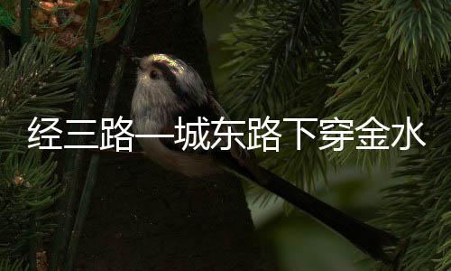 司法拍卖的房产能贷款 金水区首付100万可定别墅 13棵法桐施工预计需要3个晚上