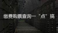 缴费购票查询一“点”搞定 郑州“移动政务”领跑中部城市