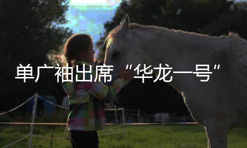单广袖出席“华龙一号”西部首堆经验总结暨批量化项目高质量建设推进会 验总参与项目建设以来