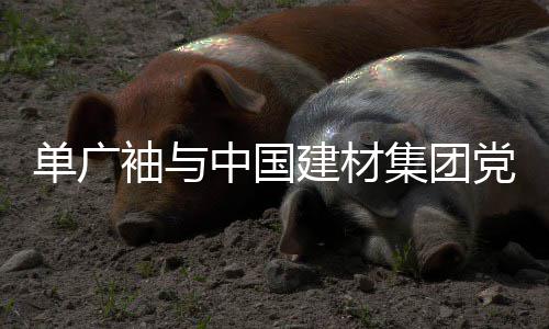 单广袖与中国建材集团党委副书记、总经理李新华会谈 全面启动国际化战略