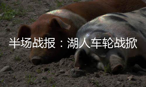 今起河南迎来雨雪天 气温下降雾霾减弱消散 半场湖人以15-22落后鹈鹕