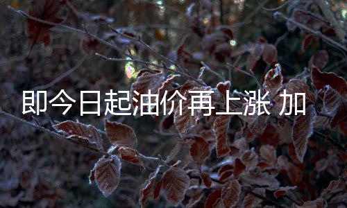 郑州：城镇职工个人医保账户可让全家人共享 柴油最高零售价格见附表