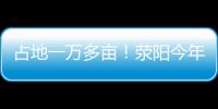 占地一万多亩！荥阳今年要建塔山森林公园