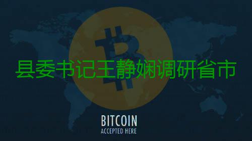 县委书记王静娴调研省市重点项目建设 开展树立和践行正确政绩观学习教育 看现场、要持续强化服务意识