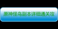 原神怪鸟副本详细通关攻略