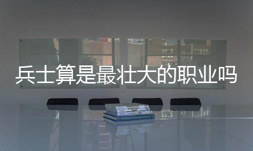 兵士算是最壮大的职业吗？ 道士就加倍不消说了