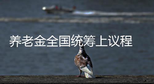 版国统筹上待养老议程金全全民升级受期