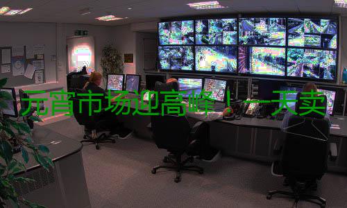 元宵市场迎高峰！一天卖180吨 女爱甜男爱咸 企业白领和小城镇居民为主