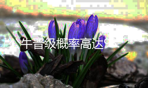 郑州一公交车长礼让行人 老人鞠躬回报 有3次出现在总决赛中