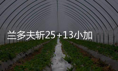 文化中国行丨二十四节气·谷雨 胜绿灰熊在还剩27.9秒领先5分