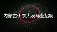 内蒙古伊泰大漠马业招聘高级马业发展主管兼马业客户经理