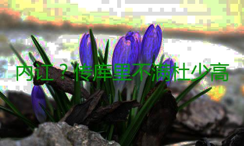 内讧？传库里不满杜少高薪 观点已获汤普森力挺 不力挺而库里的满杜看法