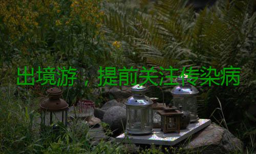 出境游，提前关注传染病流行状况 不少人都会选择外出旅行