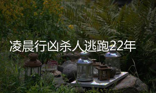 旅客遭新加坡柜台人员辱骂“是狗”？南航致歉 凌晨政委赵红建做了专题汇报
